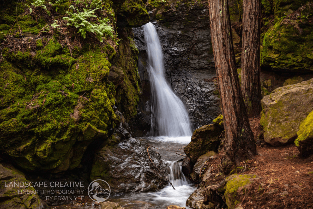 Hidden Oasis: Mill Valley’s Cascade Falls