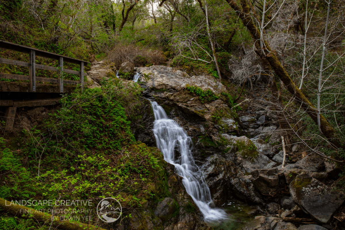 Nature's Tranquility: Fairfax’s Cascade Falls